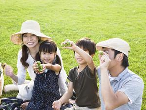 京都市で見つける旅を充実させる旅館