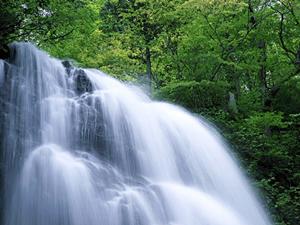 愛知県常滑市のビジネスホテル「東横INN中部国際空港2」 ? 快適な宿泊体験と便利なアクセスを提供