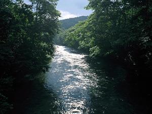 三重県四日市市の快適なビジネスと観光滞在を実現！東横INN近鉄四日市駅北口の魅力と特徴