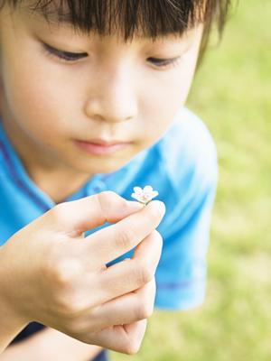 神奈川県横浜市に位置する東横イン新横浜駅前新館の詳細ガイド：アクセス・施設・特徴解説