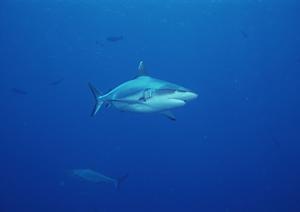 住友不動産ホテル【ヴィラージュ京都】?和室と大浴場を備えた京都の新しい宿泊体験