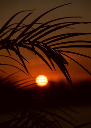 神奈川県大和市に位置する東横INN大和駅前の全魅力を徹底紹介
