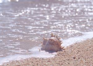 JR九州ホテル宮崎の魅力と特徴