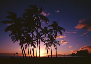 北海道札幌市にある東横INN札幌駅西口北大前の詳細情報と魅力徹底解説