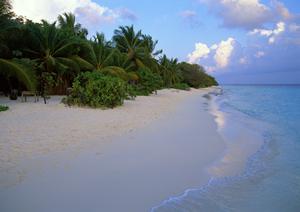 【群馬県高崎市】アクセス抜群のビジネスホテルなら東横INN高崎駅西口1！リーズナブルな料金と快適な滞在を提供