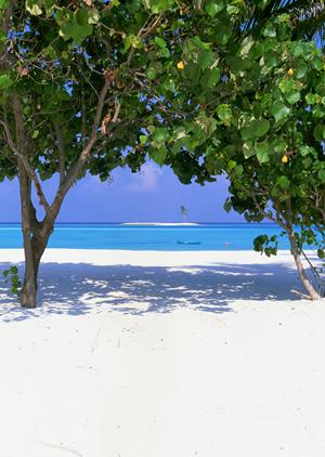 静岡駅南口から徒歩5分の快適ビジネスホテル：東横INN静岡駅南口の魅力と詳細情報