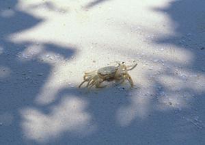 愛知県知立市にある東横INN名鉄知立駅前：快適なビジネスホテルの魅力と詳細情報