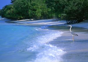 千葉県流山市のビジネスホテル【東横INN流山おおたかの森駅前】の魅力と詳細情報