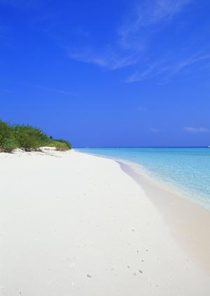 西川口駅から徒歩5分！東横INN西川口駅の魅力と特徴を徹底解説