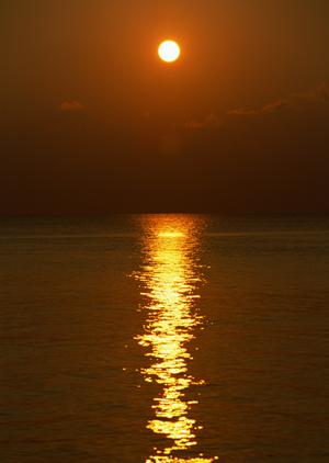 山口県周南市のビジネスホテル：東横イン徳山駅北口の魅力と詳細情報