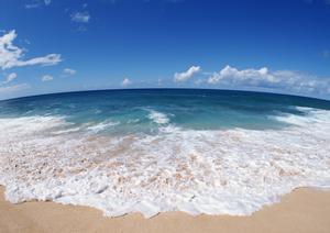 大阪市中央区で快適に滞在できるビジネスホテル【東横INN淀屋橋駅南】の魅力と詳細情報