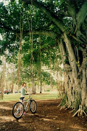 食用金箔とはどんなものをいいますか